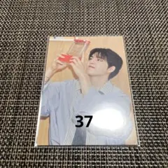 SEVENTEEN エスクプス HOLIDAY トレカ 37