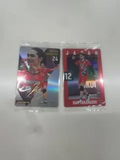 Item thumbnail for item 51a6aa4d-688b-41d3-b1e3-2d3c7a197aa9