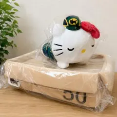 新品 ヤマト運輸 B賞 ハローキティとおひるね ペット用ダンボール