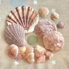 ilovecockatiel様 リクエスト 2点 まとめ商品