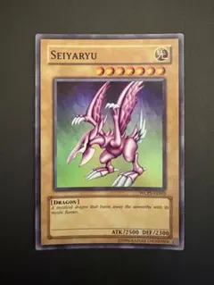 2026年最新】Seiyaryuの人気アイテム - メルカリ