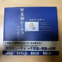 野良猫ムーチョ : 心に吹く風