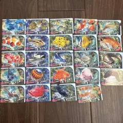釣りスピリッツ カードダス ワンダー Vol.1 セミコンプ 39種類 - メルカリ
