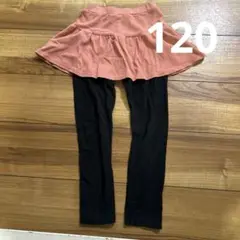 スカッツ　120