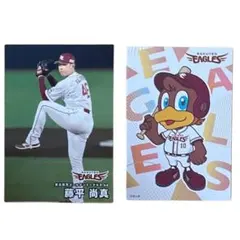 ☆新品未着用☆ 藤平尚真選手直筆サイン Tシャツ 値下げ対応可 2024年侍ジャパンネームナンバーTシャツ 46藤平尚真 - 侍