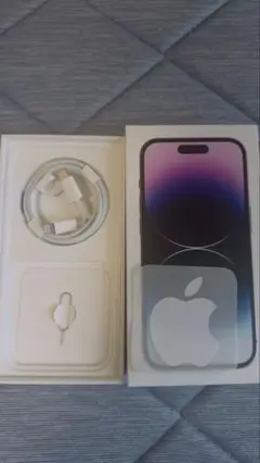 【新品未使用】Apple アップル 純正 正規品 USB タイプC ライトニング