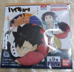 黒尾鉄朗 ハイキュー!! 缶バッジコレクション vol.2