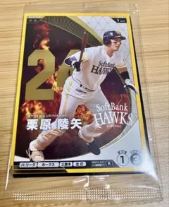 か*み様 福岡ソフトバンクホークス川瀬晃選手 直筆サイン入りミニ色紙