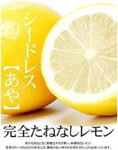 Sideward8.trade様 リクエスト 4点 まとめ商品 - メルカリ