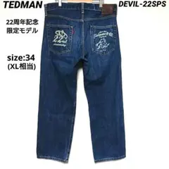 TEDMAN テッドマン DEVIL参号 デニムパンツ ジーンズ サイズ 31 テッドマン（TEDMAN）「デビル参号」ヒップペイントジーンズ/DEVIL-003