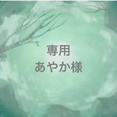 専用ページ あやかさま