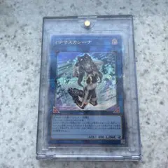 ipマスカレーナ