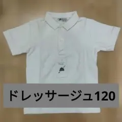 新品！Dressage 無地 半袖ホワイト ポロシャツ 120 お受験 発表会
