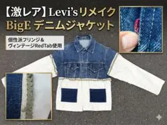 【希少】リーバイス リメイク デニムジャケット Big E 赤タブ ヴィンテージ