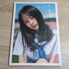 永世名人様 リクエスト 2点 まとめ商品