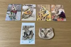 猫カフェMOCHA イオンモール羽生店 レイ グッズまとめ売り