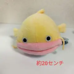 2026年最新】なまずのずっちーの人気アイテム - メルカリ