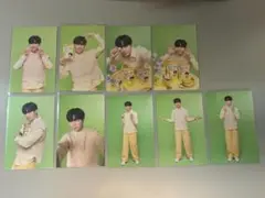 B147 ZeePruk zeefruitトレカ 9枚セット