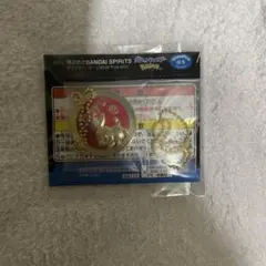 ポケモン メタルチャーム キーホルダー 一番くじ K賞 ポカブのサムネイル