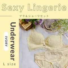 ノンワイヤーブラ　リボン　レース　セクシー　アイボリー　ブラショーツ　L