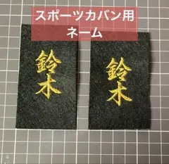 Item thumbnail for item da28445c-dbf7-4429-b4e2-deeb5b58c499