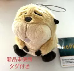 Item thumbnail for item ff4c1109-9241-4e49-b479-2dd9c96ecf4b