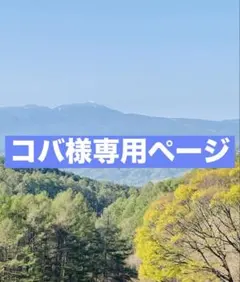 ※コバ様専用ページ　女王250g