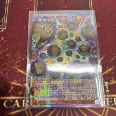増殖するクリボー！ オーバーフレーム プリズマ プリシク 遊戯王