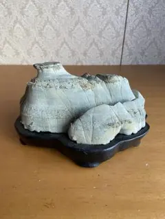 mutan様 リクエスト 3点 まとめ商品