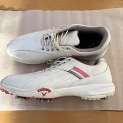 ゴルフシューズ25