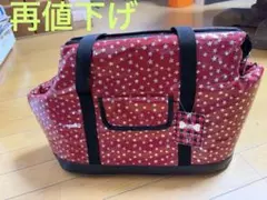 ⭐️大幅値下げ⭐️ペット用キャリーバッグ⚫︎未使用のサムネイル