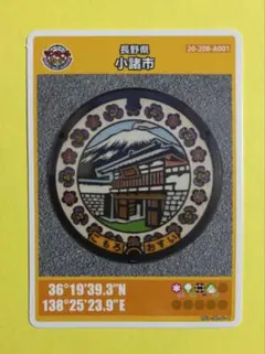 Item thumbnail for item 8dd42463-842c-4bab-9734-bd66168afc9e