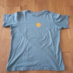 Tシャツ　マッグレガー　M