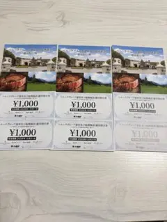 ベルーナグループ優待割引券 1000円券×6枚のサムネイル