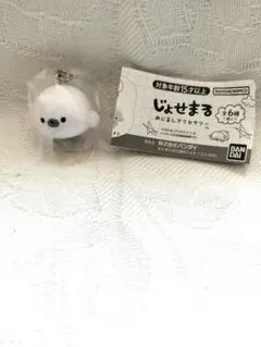 じょせまる　めじるしアクセサリー　まるころ