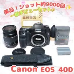 ✨Canon EOS 40D✨ショット極少 初心者 標準レンズセット キャノン