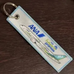 2025年最新】ANA フライトタグの人気アイテム - メルカリ