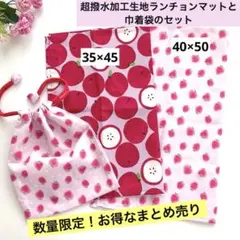 【数量限定】お得なまとめ売り！超撥水加エ生地ランチョンマット2枚と巾着袋のサムネイル