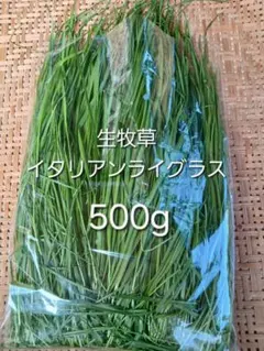 Item thumbnail for item e20bc004-a264-49ce-96f7-6483ec7f6673