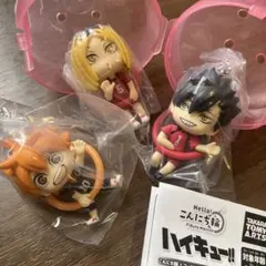 ハイキュー こんにち輪 日向