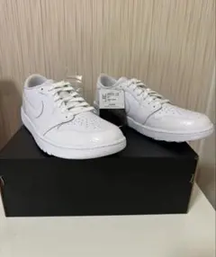 ナイキエアジョーダン1 LOW G