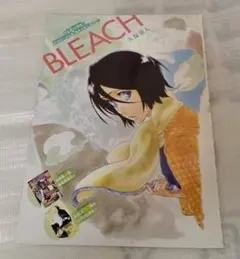 朽木ルキア BLEACH 扉絵 カラー 切り抜き ジャンプ 久保帯人　ブリーチ