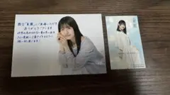 Item thumbnail for item ab8fcef2-3744-4176-b841-40cf0d62fdc5