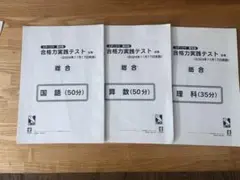 2025年最新】日能研合格力実践テストの人気アイテム - メルカリ