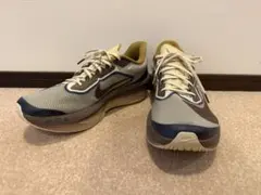 ナイキ NIKE ズーム フライ 6 プレミアム HV4366-072