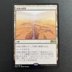 2026年最新】死者の原野の人気アイテム - メルカリ