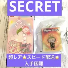 未開封Big into Energy ラブブフォンチャーム シークレット