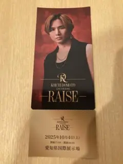 堂本光一 RAISE FC会場限定 メモリアルチケット愛知県国際展示場　非売品