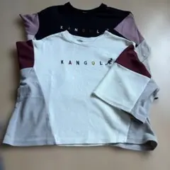 KANGOL 半袖 Tシャツ 2枚セット マルチカラー