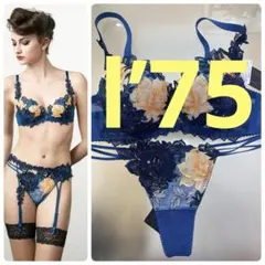 サルート97グループ ⭐️店舗限定⭐️KO⭐️I‘75/M⭐️新品タグ付き❗️のサムネイル